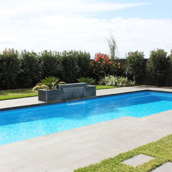 Bionizer's Ultimate Eco Pool System - Hot Tub And Pool Supplies