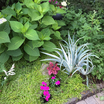 vertical garden | Artistry Landscaping Design