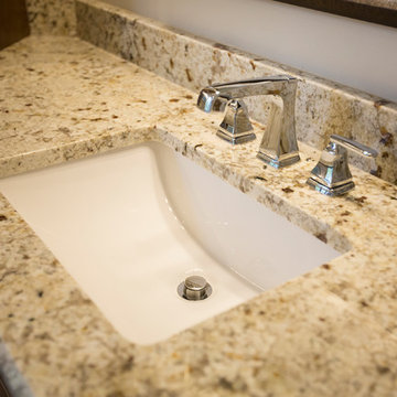 Master Bathroom Remodel 2016