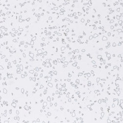 Staron Colors - Vanity Tops And Side Splashes