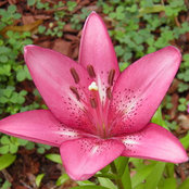 Donna Wettig Hitz's photo