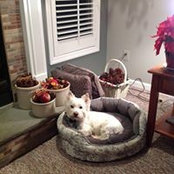 Mary Lourdes Mercurio's photo