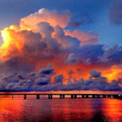 Tim Reeder's photo