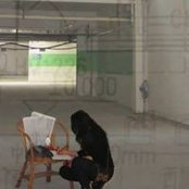 Francesca Serri's photo