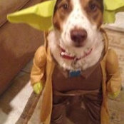 Randi Hetrick's photo
