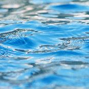 Foto de danig07