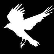Foto de White Crow