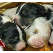 Jennifer Kaltz's photo