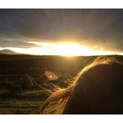 Abigail Becker's photo