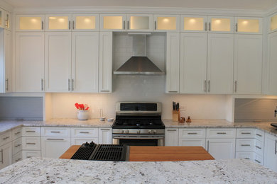 Kitchen - transitional kitchen idea in Cleveland