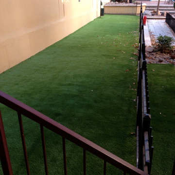 Downtown Denver Apartment Dog Run