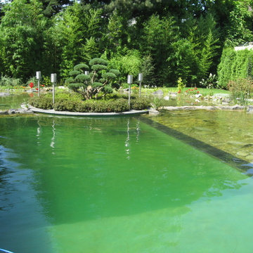 Schwimmteichanlage