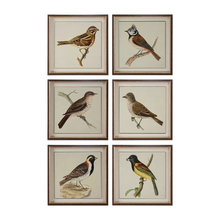 bird art