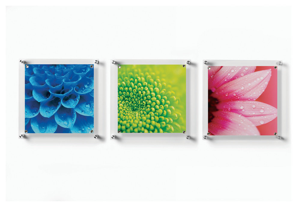 Trio Set of 3 Square Floating Wall Frames, 14x14 - Contemporary ...