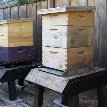 My Houzz: An Edible Backyard in an Eichler Home