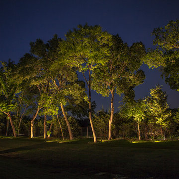 Low Voltage LED Lighting- Lucas, TX