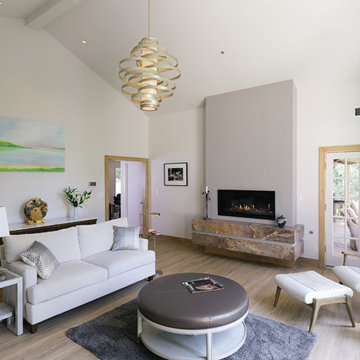 Living Room Remodel in Atlanta