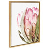 Sylvie Pink Protea Flower Framed Canvas by Amy Peterson, Gold 18x24