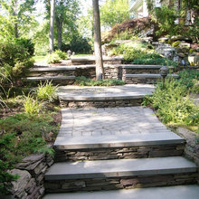 Landscape Ideas