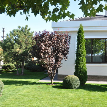 Private contemporary garden / Частный современный сад.