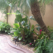 landscaping front