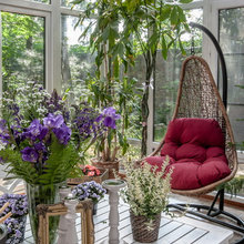 Patio Ideas