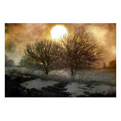 Franklin Arts - Oversized Abstract Tree Canvas Print, 60x40 - Prints And Posters