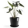 Ecopots, Round, Plastic In/Outdoor Planter Flower Pot Saucer, Dark Grey, 14"