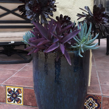 container gardens and misc.