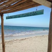Jae Carpenters foto