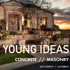 Young Ideas Construction