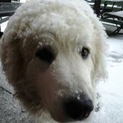 Foto de Nancy Engelman
