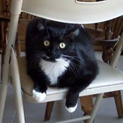 Melanie Herfel's photo