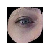 Lia Megna's photo