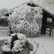 Condrat Cristian's photo
