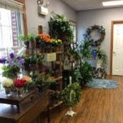 In Full Bloom's photo