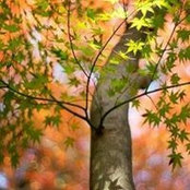 Julia DeRush's photo