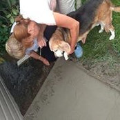 Tanya Rafuse's photo