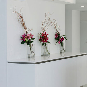 Snaidero USA Private Residence Installation - Pennsylvania