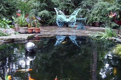 Ponds and Pools