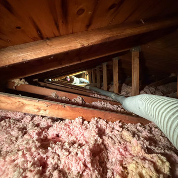 Mold Remediation Service in Attic