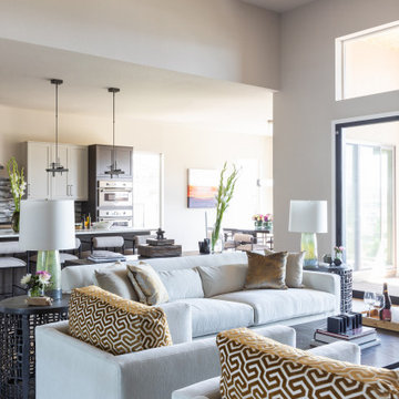 New-Build Home: Living Room