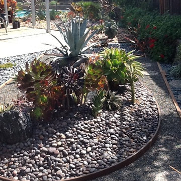 Succulents inspired by Asian Design