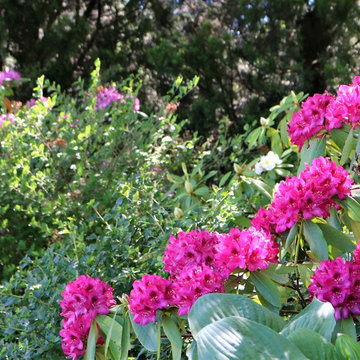 Beautiful Gardens and Accents