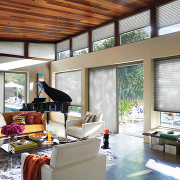 Duette Honeycomb Shades