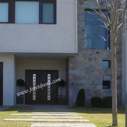 Modern contemporary entry doors - Front Doors