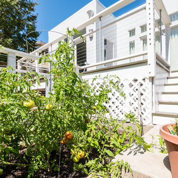 Burlingame Spanish Delight