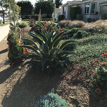 Bermed front yard