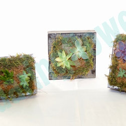 Picture frames - Products