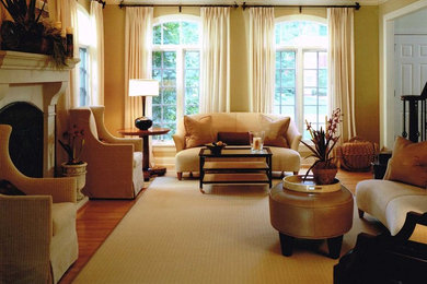 Transitional living room photo in Chicago